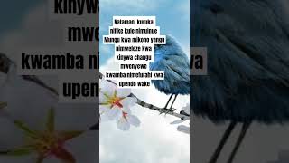 Natamani kuruka  Nipishe njia nipeni nafasi with Lyrics by B Mukasa [upl. by Wandy]