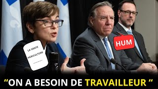 Immigration au canada 2024  Les Nouvelles décisions prises [upl. by Sioled]