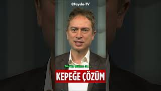 Saç Kepeğine Ne İyi Gelir ❓👍 ibrahimsaraçoğlu faydatv şifalıbitkiler saçkepeği [upl. by Roche]