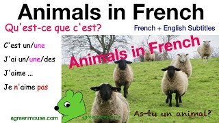 Animals in French Astu un animal Do you have a pet [upl. by Donny]