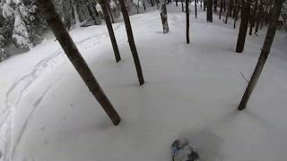 CANNON MOUNTAIN  GOLDEN BIRCHES GLADE [upl. by Nolyaj398]