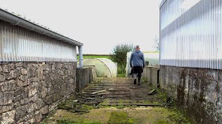 Visite de la Ferme botanique de Kerveat [upl. by Anekam725]