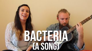 Bacteria  A Song [upl. by Letnahs]