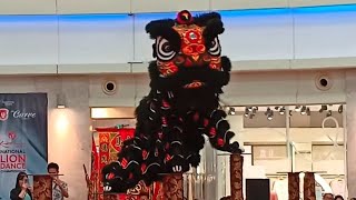 Kwong Ngai Acrobatic Lion Dance [upl. by Ardnod]