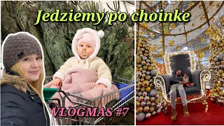 VLOGMAS 7  JEDZIEMY PO CHOINKE  Żywa choinka viral mama funnykid [upl. by Aihsitan942]