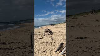 Elephant Graveyard Sand Monuments  Urunga NSW Australia [upl. by Geoffrey]