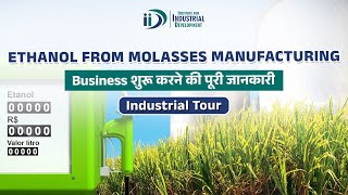 Ethanol From Molasses Manufacturing Business  Ethanol Production In India  Best Business Idea [upl. by Krause]