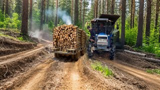 Heavy duty timber hauler crossing muddy road Tractor trailer timber transport vehicle [upl. by Ilyk]