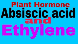 Plant HormoneAbscisic Acid And Ethylene TGTPGTNEETMScBScClass 12thClass 10thCBSE Board [upl. by Bonner20]