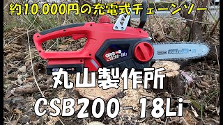 破格の充電式チェーンソー使ってみた！ 丸山製作所 CSB20018LI レビュー [upl. by Mariejeanne169]