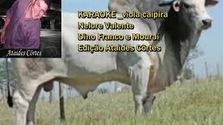 NELORE VALENTE karaoke viola caipira [upl. by Dnomra]