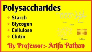 Polysaccharides  Starch Glycogen Cellulose Chitin [upl. by Rawdon921]