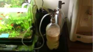 Up Aqua Aquarium Co2 Diffuser  The effect of DIY Co2 System Yeast  Sugar [upl. by Atik]