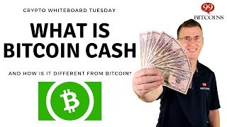 What is Bitcoin Cash  A Beginner’s Guide [upl. by Elocim575]