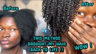 THIS METHOD BROUGHT MY HAIR BACK TO LIFE  I tried the MAXIMUM HYDRATION METHOD and I’m speechless [upl. by Averi57]