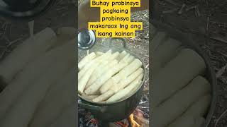 kahit kamoteng kahoy ang mahalga mairaos ang isang kainan [upl. by Ayr]