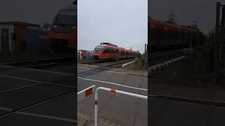 BR 644 der Deutsche Bahn am Bahnübergang in Grenzach deutschebahn trainspotting shorts yt [upl. by Ynnig]