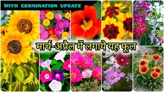 मार्च अप्रैल में लगाये इन् फूलों को  Top 20 Summer flowering plants From seed To saplings update [upl. by Raseta]