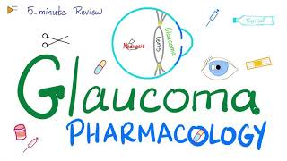 Glaucoma Pharmacology  5Minute Review [upl. by Vittorio]