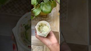 నేను Viral Cucumber Jar Salad చేసుకున్నviraltrendingcucumbersaladshortsfoodfypythealthy [upl. by Lenard8]