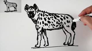 How To Draw A Hyena easy  Drawing on a Whiteboard [upl. by Atteyram]