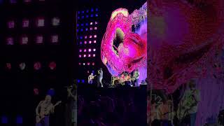 Red Hot Chili Peppers  Californication Live Tokyo Dome 18052024 redhotchilipeppers live [upl. by Aneeh]