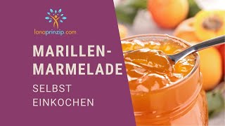 Marillenmarmelade selber machen Mein KonfitüreRezept aus Österreich selbst eingekocht [upl. by Tara747]