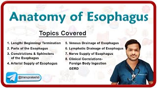 Anatomy of Esophagus Parts Constrictions Neurovascular supply Venous amp lymphatic drainage [upl. by Luiza]