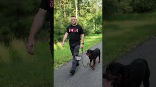 How to Stop Leash Pulling in 510 Minutes [upl. by Salba]