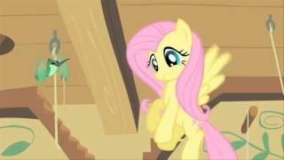 Fluttershy sings the My Little Pony Theme Song from episode quotA Bird in the Hoofquot  Polish Version [upl. by Landau]