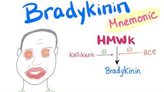 Bradykinin  with a Mnemonic [upl. by Honna237]