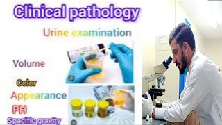 What is Urine RE Test [upl. by Signe35]