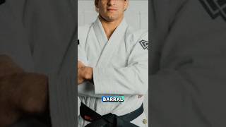 Quem é Rômulo Barral sl783 jiujitsu bjj mma ufc [upl. by Bechler325]