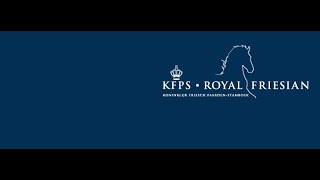 The KFPS Royal Friesian Horse ABFP show [upl. by Olenta]