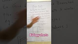 What are Prop Roots Biology shorts Dr Sams Biology [upl. by Sami364]