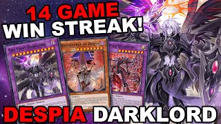 14 GAME WIN STREAK NEW DESPIA DARKLORD DRAMATURGE Combo Guide  Deck Profile 2022 Master Duel [upl. by Luy427]