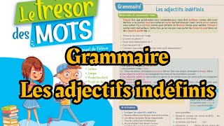 Grammaire  les adjectifs indéfinis page 182  le trésor des mots cm2 5éme année primaire français [upl. by Ydaf]