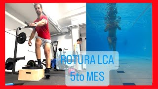 8 🔴 5to MES ⚠️ ¡¡Rehabilitación LIGAMENTO Cruzado Anterior y Meniscos 😭 LCA [upl. by Pufahl]