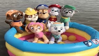 Patrulla canina español FIESTA ACUATICA EN LA PLAYA CON PISCINA DE BOLASPaw Patrol 90 [upl. by Ress]