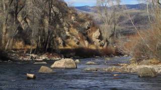 Steamboat Springs Colorado  Fly fishing the Yampa and Elk rivers [upl. by Ruhtracm]