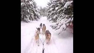 Dog Sledding in Ely Minnesota better quality [upl. by Lanor]