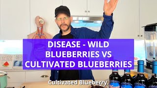 Disease  Wild Blueberries Vs Cultivated Blueberries [upl. by Enattirb424]