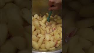 Very EASY Applesauce 🍎 [upl. by Lossa]