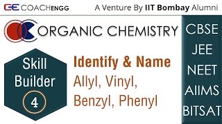 Identify Allyl Vinyl Phenyl Benzyl Groups or substituents amp Name Their Compounds  CBSE JEENEET [upl. by Cassaundra]