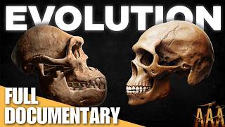 The MindBlowing Story of Human Evolution [upl. by Ssur]