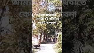 সবাই মরে যাব আমরা কেহই থাকবে না এই পৃথিবীতে shortsvideo 😭🤲👍 [upl. by Labinnah660]