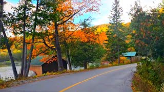 Gatineau Park in Fall canada quebec [upl. by Ynohtnanhoj]