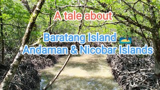 A tale about Baratang Island 🏝 Andaman amp Nicobar Island viral travel andamanislands [upl. by Franck]