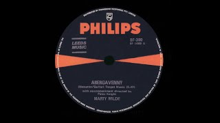 Abergavenny – Marty Wilde Stereo [upl. by Kcirdahs]