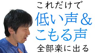 低い声を楽に出すためには【声の出し方】【カラオケ】 [upl. by Tosch]